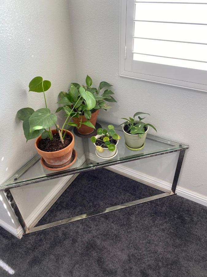 Private Room In La With Free Wifi And Tv With Shared Kitchen Los Angeles Ngoại thất bức ảnh